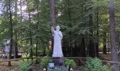 Randonnée Marche Sprimont - dans les bois au nord de Banneux - Photo 1