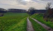 Tocht Stappen Huldenberg - Rodebos - Photo 1