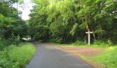 Tour Wandern Rethondes - en forêt de Laigue_4_08_2019_Mont du Fouilleux_Mont des Singes_Marais de Francière - Photo 4