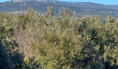 Trail Walking Aniane - grotte des reliques, montcalmes - Photo 13