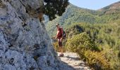 Tocht Stappen Estoublon - gorges de Trévans 6 septembre 2020 - Photo 4