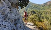 Trail Walking Estoublon - gorges de Trévans 6 septembre 2020 - Photo 4