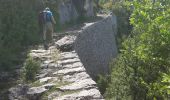 Trail Walking Châtelus - du col de Mezelier-pas de Lallier-pas des voutes  - Photo 3