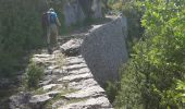 Percorso Marcia Châtelus - du col de Mezelier-pas de Lallier-pas des voutes  - Photo 3