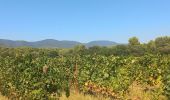 Tocht Stappen Cadenet - Châteaux de Lourmarin et Cadenet - Photo 4