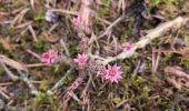 Trail Walking Brixen - Bressanone - Brixen - Archeopfad - Photo 15