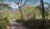 Trail Walking Marthod - Santier botanique - Photo 6