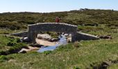 Tocht Mountainbike Vialas - Mas de barque tracé 2 - Photo 8