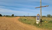 Tocht Stappen Villares de Órbigo - Santibañez Astorga Murias - Photo 7