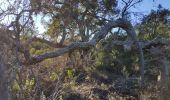 Trail Walking Fréjus - z tdm 25-01-19 - Photo 5