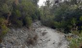 Trail Walking Laroque-des-Albères - laroque . fontaine dels simino - Photo 6