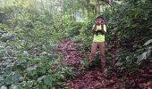 Excursión Senderismo Le Lorrain - Rando d'ouverture Morne Capot via Gens - Photo 1