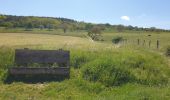 Trail Walking Dossenheim-sur-Zinsel - Le Bastberg depuis Dossenheim-sur-Zinsel - Photo 6