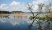 Percorso A piedi Am Mellensee - Mellenseer Heideweg - Photo 6