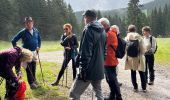 Trail Walking Feldberg - Neuglashütten -Feldberg - Photo 1