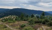 Trail Walking Linthal - Hilsen-Hilsenfirst-Petit Ballon-Hilsen - Photo 7