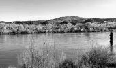 Excursión Senderismo Châteauneuf-du-Rhône - Châteauneuf : Les Iles du Rhône 9km - Photo 6