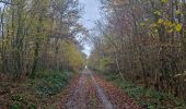 Percorso Marcia Somme-Leuze - Baillonville-Waillet-Les Vennes - Photo 18