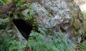 Randonnée Marche Fontainebleau - Fontainebleau sentier Denecourt 10 - Photo 19