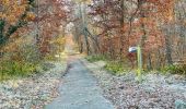 Randonnée Marche Saint-Jean-aux-Bois - en forêt de Compiègne_44_sur les Routes du Moulin et de Berne - Photo 11