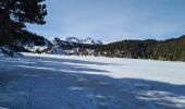 Randonnée Raquettes à neige La Llagonne - Les Bouillouses.( 66 MT LOUIS ) Pla des Aveillans-barrage des Bouillouses  - Photo 17