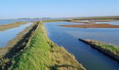 Trail Mountain bike La Faute-sur-Mer - La Faute ter - Photo 2