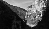Trail Walking La Palud-sur-Verdon - Chalet de la Maline - Point Sublime - Photo 15
