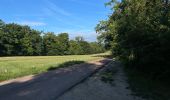 Trail Walking Compiègne - Randonnée en Forêt de Compiègne_51_le Mont du Tremble et les Beaux Monts - Photo 2