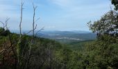 Tour Wandern Pignans - Pignan - ND des Anges. - Photo 2