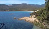 Excursión Senderismo Serra-di-Ferro - Plage de Cupabia  - Photo 6