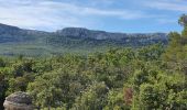 Tour Wandern Plan-d'Aups-Sainte-Baume - les Avens la Ste Baume - Photo 2