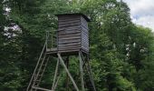 Tour Wandern Durbuy - GR57 : BOMAL to MELREUX - Photo 5