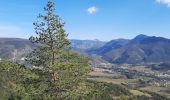 Excursión Senderismo Mirabel-et-Blacons - Mirabel et Balcons de la Drôme 16 km - Photo 2