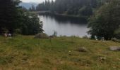 Tocht Stappen Orbey - randonnée des 3 lacs, lac noir , lac blanc et lac du former ( lac des truites) Vosges  - Photo 10