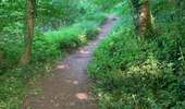 Trail Walking Anderlues - Balade Lobbes-Thuin-Anderlues  - Photo 12