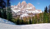 Randonnée A pied Cortina d'Ampezzo - Sentiero C.A.I. 212, Bivio sopra Mandres - Faloria - Strada Tre Croci - Photo 8