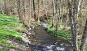 Randonnée Marche Bouillon - Les Hayons 110426 - Photo 19