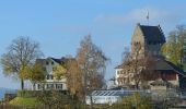 Tour Zu Fuß Uster - Uster - Meilen - Photo 7