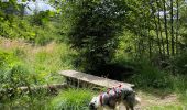 Trail Walking Libramont-Chevigny - Séviscourt - Photo 11