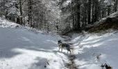 Trail Walking Cornimont - Col du Brabant - croix Louis par Mansuy et Boulaite - Photo 12