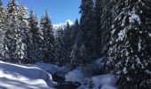 Excursión Raquetas de nieve Sixt-Fer-à-Cheval - Refuge de Gers - Photo 1