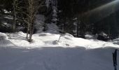 Trail Snowshoes Allevard - Collet d Allevard - arête de l évêque  - Prarion - Photo 10