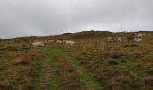 Randonnée Marche Caussou - le col des canons - Photo 6