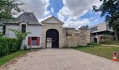 Tour Zu Fuß Sainte-Mesme - Boucle en forêt de Dourdan au départ de Sainte Mesme - Photo 9