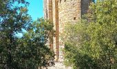 Tour Wandern Duilhac-sous-Peyrepertuse - 7eme étape sentier cathare  - Photo 15