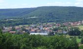 Tour Zu Fuß Bad Bocklet - Steinach 3 - Photo 4