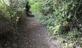 Tocht Stappen Cambremer - Saint Pair du Mont- Dozulé - Photo 8