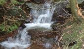 Excursión Senderismo Stoumont - La Gleize (Ruy - Exbomont - Mont des Brumes) - Photo 2