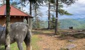 Trail Horseback riding Saint-Quirin - Camping st quirin belles roches abri Klein haut du bon Dieu halmoze lamperstein  - Photo 20