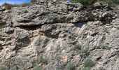 Trail Walking Minerve - Gorges de Minerve  - Photo 14
